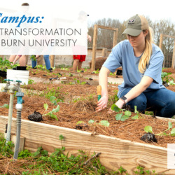Transformation Garden at Auburn University