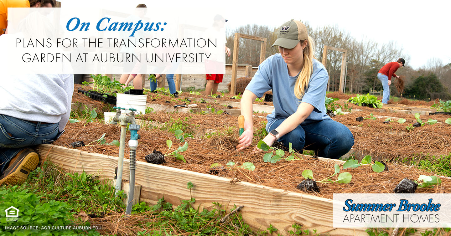 On Campus: Plans for the Transformation Garden at Auburn University