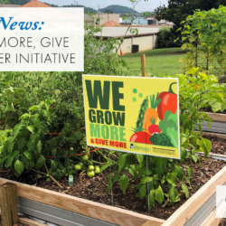 Grow More Give More hunger initiative