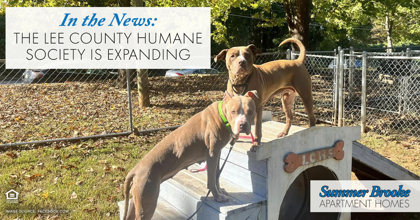 the Lee County Humane Society is expanding